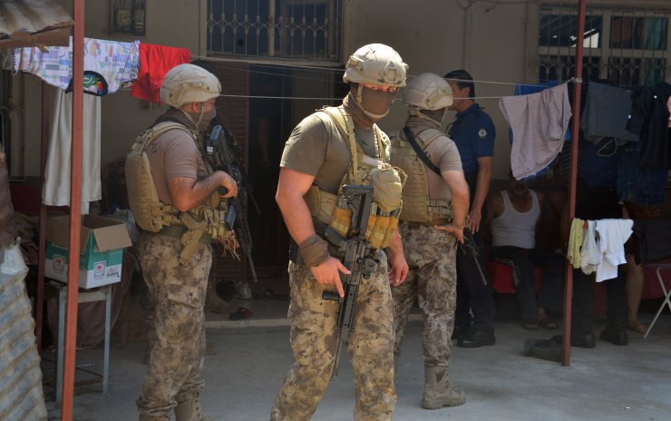 Bahçesine ektiği Hint kenevirini, Pitbull ile korumuş