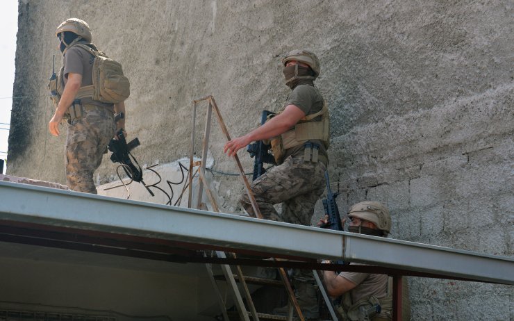 Bahçesine ektiği Hint kenevirini, Pitbull ile korumuş