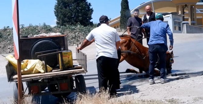Bunaltıcı sıcakta yük ve insan taşıyan at, yere yığıldı zor anlar yaşadı