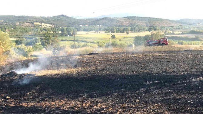 Çanakkale’de anız yangını büyümeden söndürüldü