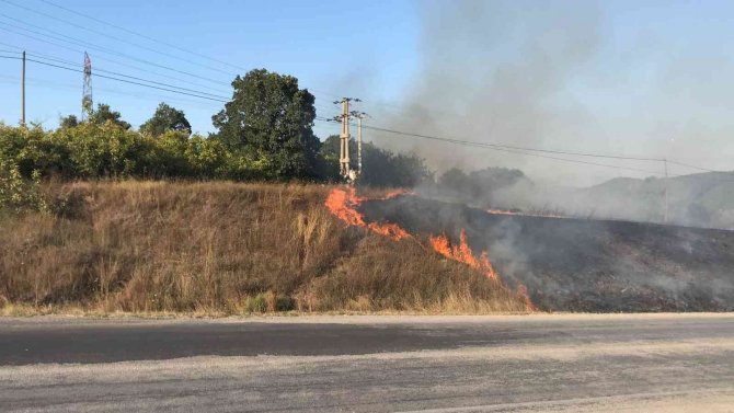 Çanakkale’de anız yangını büyümeden söndürüldü