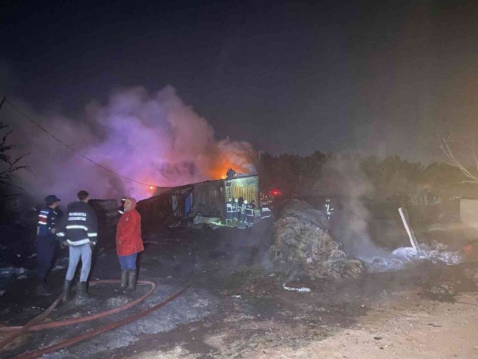 Geri dönüşüm deposu alev alev yandı