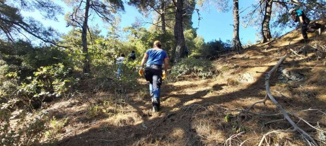 İzmir’de kaybolan alzheimer hastası yaşlı kadın Aydın’da aranıyor