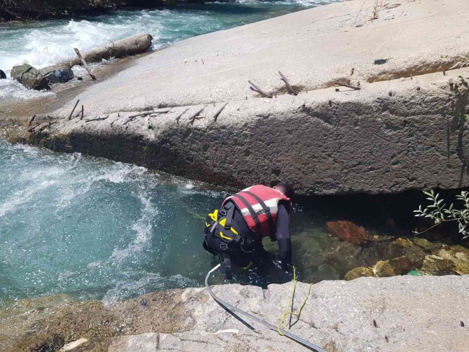 Kayıp hemşireyi arama çalışmaları 42’inci gününde