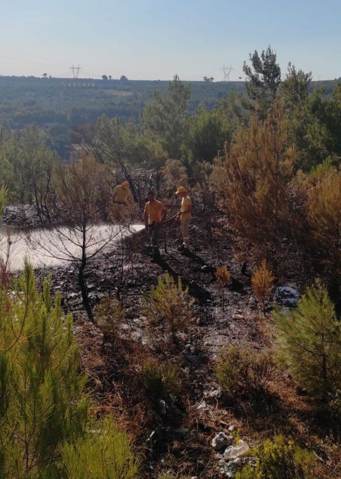 Kaynak makinesi ormanı yaktı