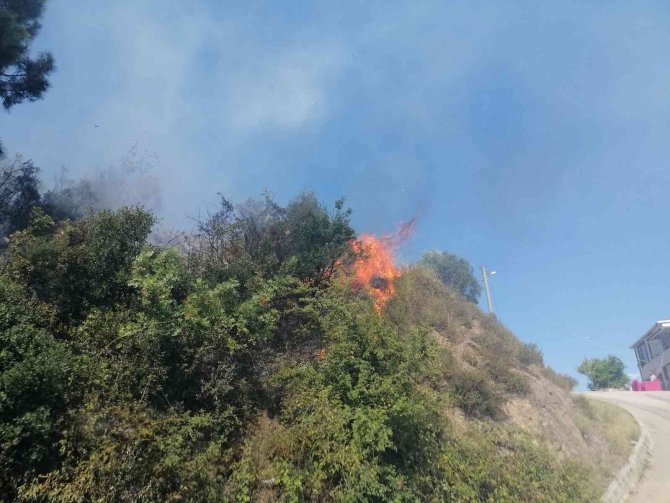 Kocaeli’de ormanlık alanda yangın çıktı