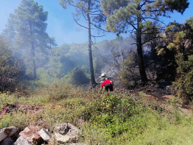 Kocaeli’de ormanlık alanda yangın çıktı