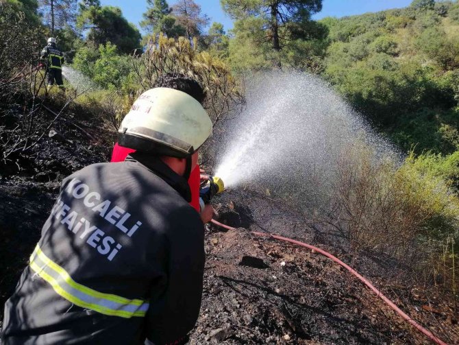 Kocaeli’de ormanlık alanda yangın çıktı