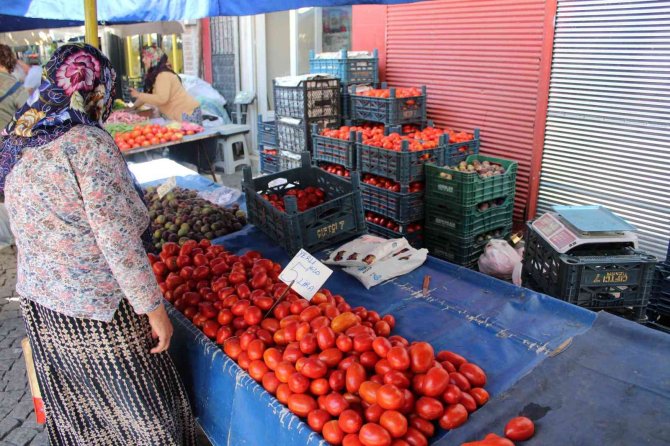 Salçalık domatesler tezgahlara indi