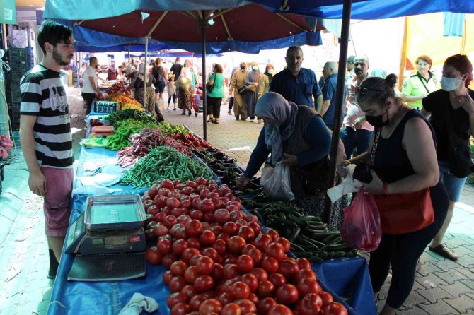 Salçalık domatesler tezgahlara indi