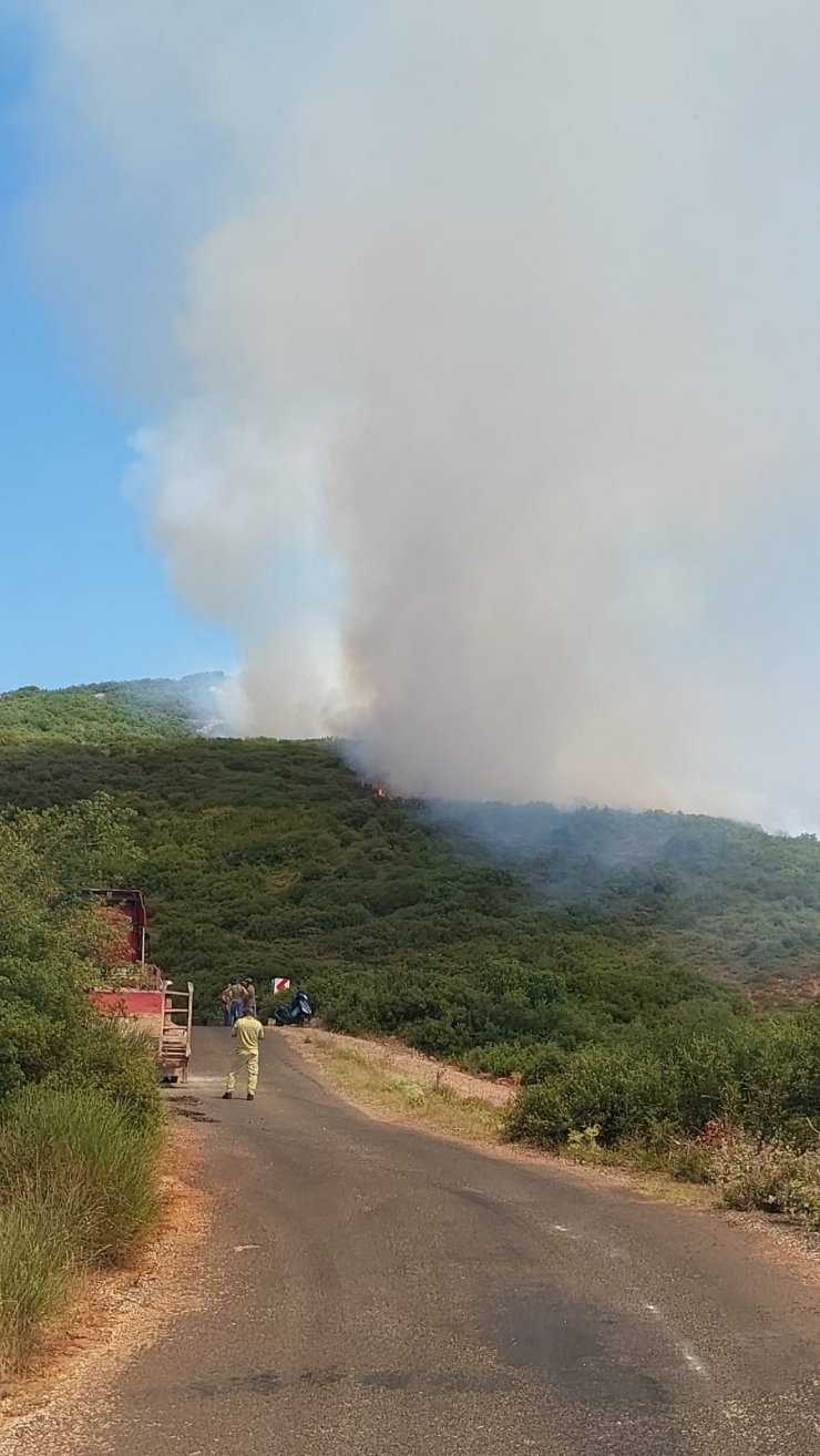 Şarköy'de makilik yangını; 5 hektar yandı