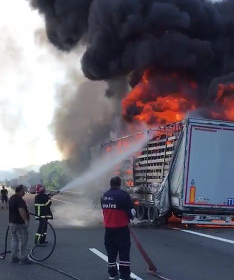 TEM’de tır alev alev yandı