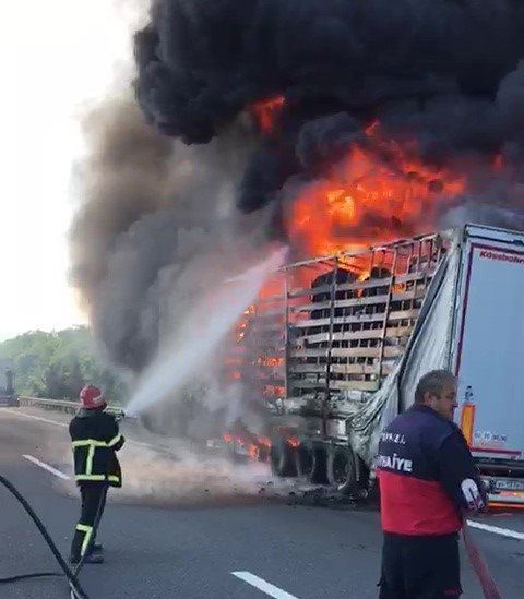 TEM’de tır alev alev yandı