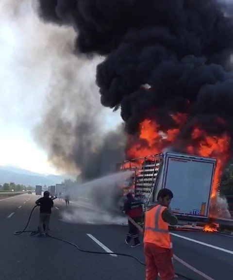 TEM’de tır alev alev yandı