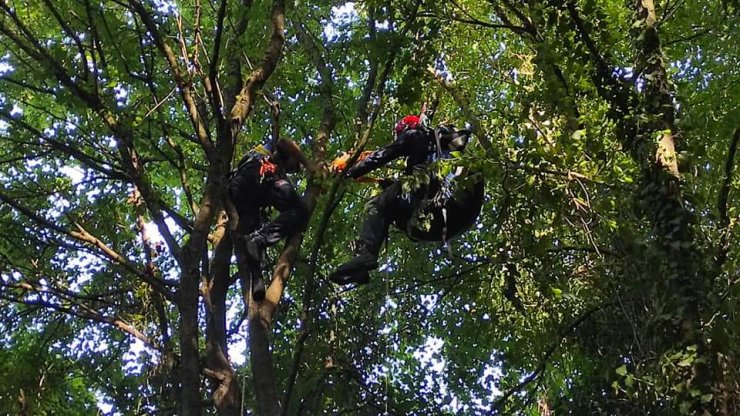 Ağaca takılan yamaç paraşütçüsünü AFAD ekipleri kurtardı