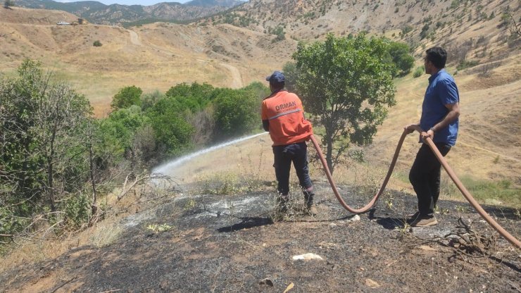Bingöl'de orman yangını ekiplerin erken müdahalesiyle büyümeden söndürüldü