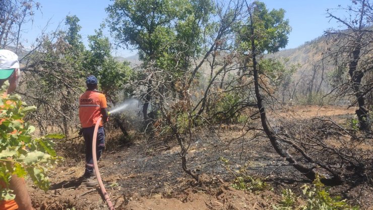 Bingöl'de orman yangını ekiplerin erken müdahalesiyle büyümeden söndürüldü