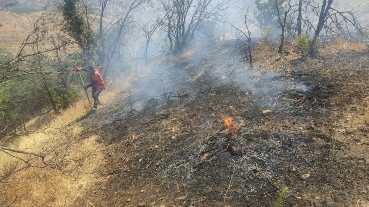 Bingöl'de orman yangını ekiplerin erken müdahalesiyle büyümeden söndürüldü