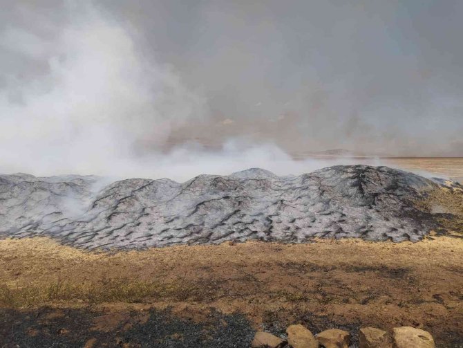 Siirt’te yangın! 100 ton buğday kül oldu