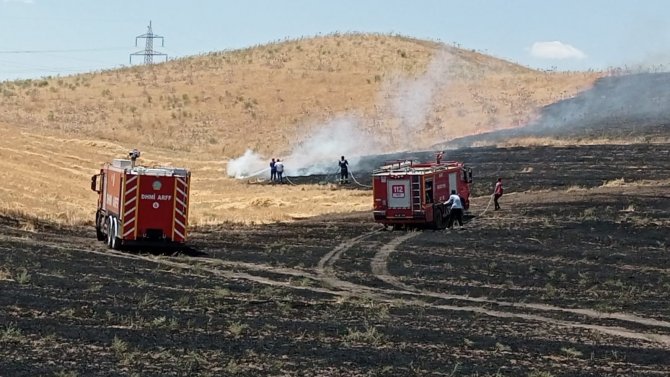 Siirt’te yangın! 100 ton buğday kül oldu