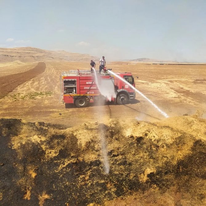Siirt’te yangın! 100 ton buğday kül oldu