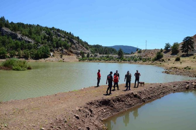 Yaşlı kadını arama çalışmalarına skorsky tipi helikopter de dâhil oldu