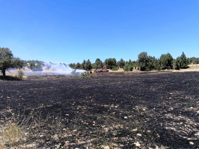 45 dönüm hububat ekili alan yandı