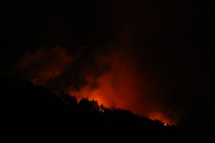 Adana'da orman yangını