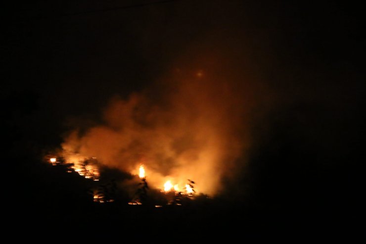 Adana'da orman yangını