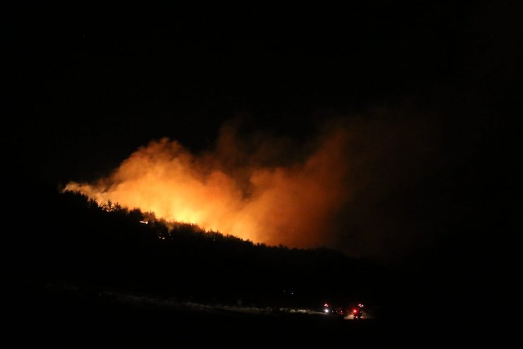 Adana'da orman yangını