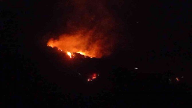 Adana’da orman yangını