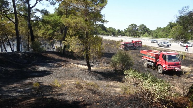 Alev alan otomobilin girdiği orman da yandı
