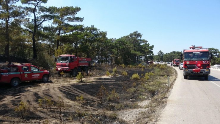 Alev alan otomobilin girdiği orman da yandı