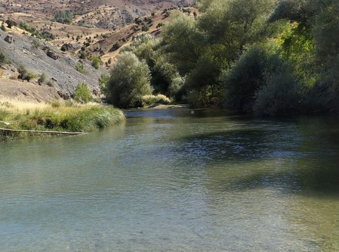 Amca, yeğeniyle birlikte suda boğularak can verdi