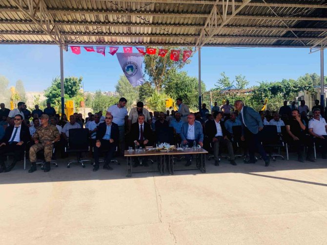 At arabasının yerini triportör motosikletler alacak