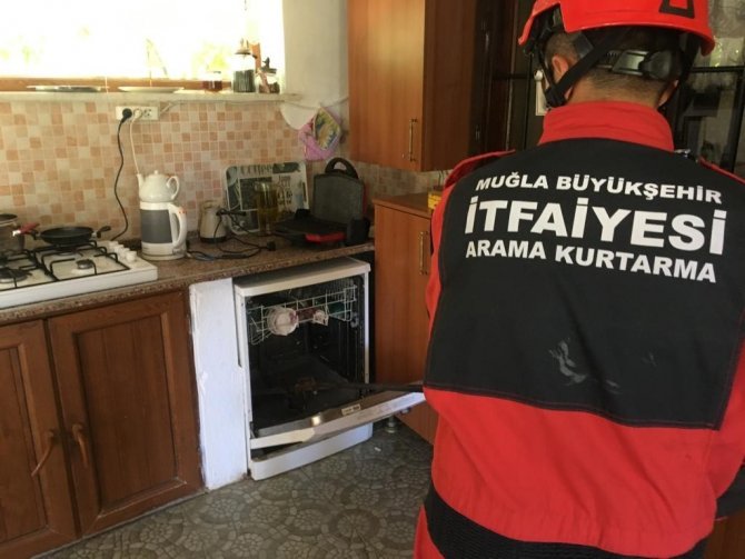 Bulaşık makinasındaki yılan ev sahibini korkuttu