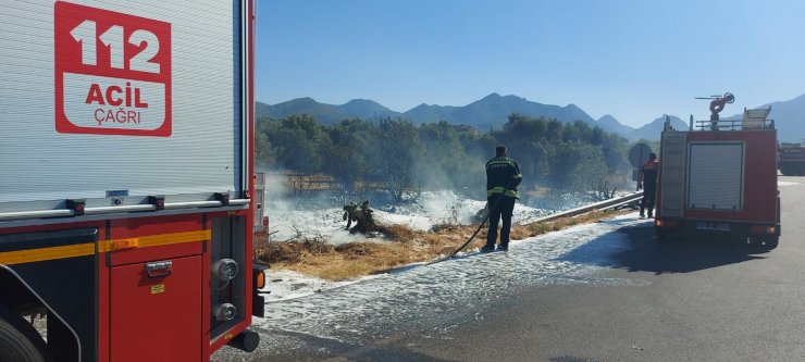 Çıkan yangında 1 dönüm otluk küle döndü
