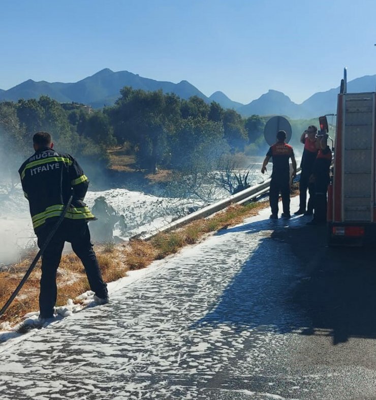 Çıkan yangında 1 dönüm otluk küle döndü