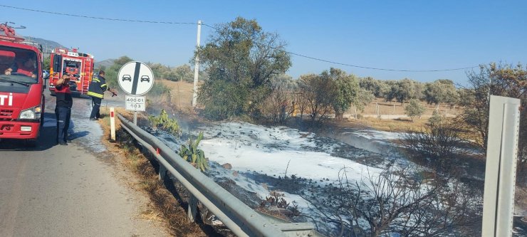 Çıkan yangında 1 dönüm otluk küle döndü