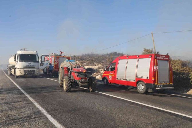 Didim’de orman yangını korkuttu