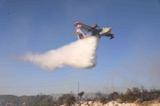 Didim’de orman yangını korkuttu