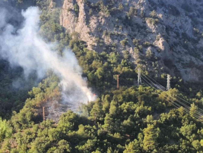 Feke’de orman yangını