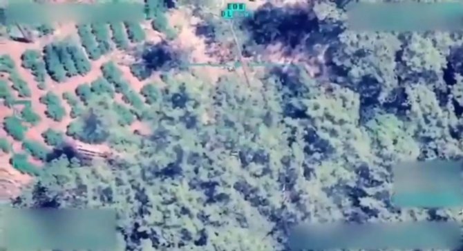 Helikopter destekli uyuşturucu operasyonu