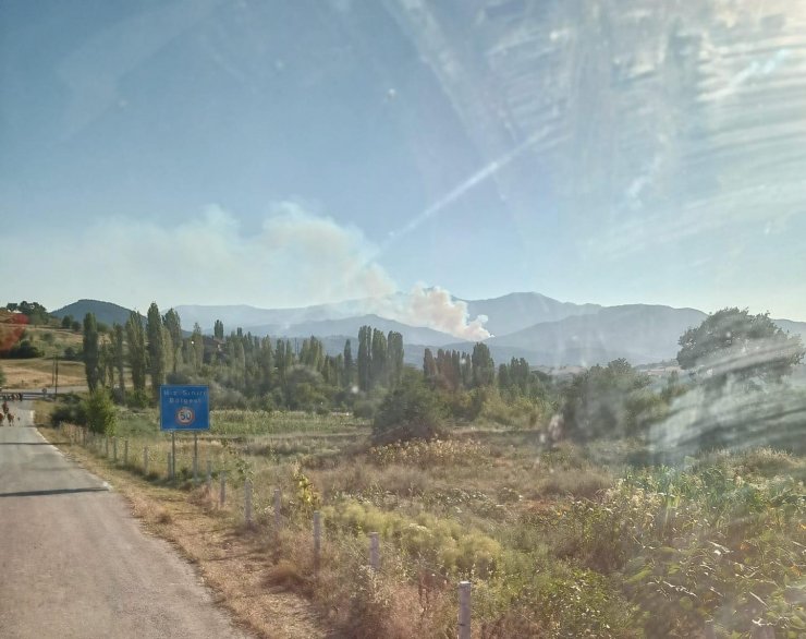 Kütahya'da orman yangını