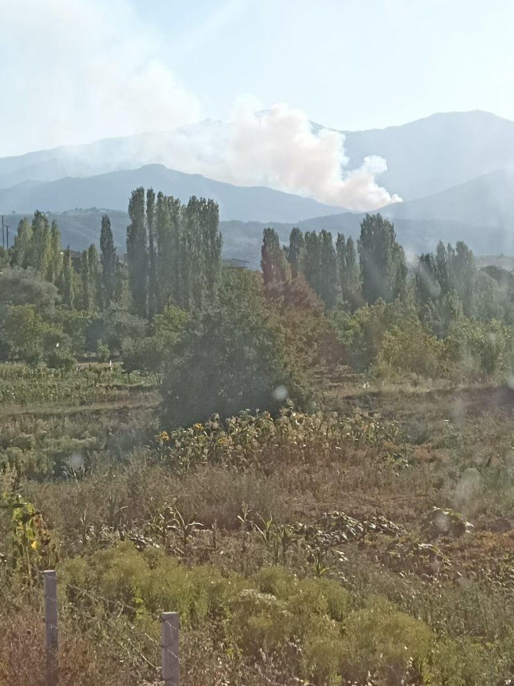 Kütahya'da orman yangını