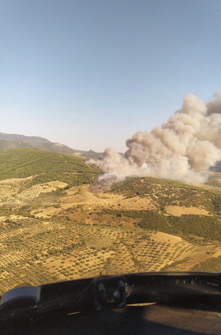 Manisa'da orman yangını