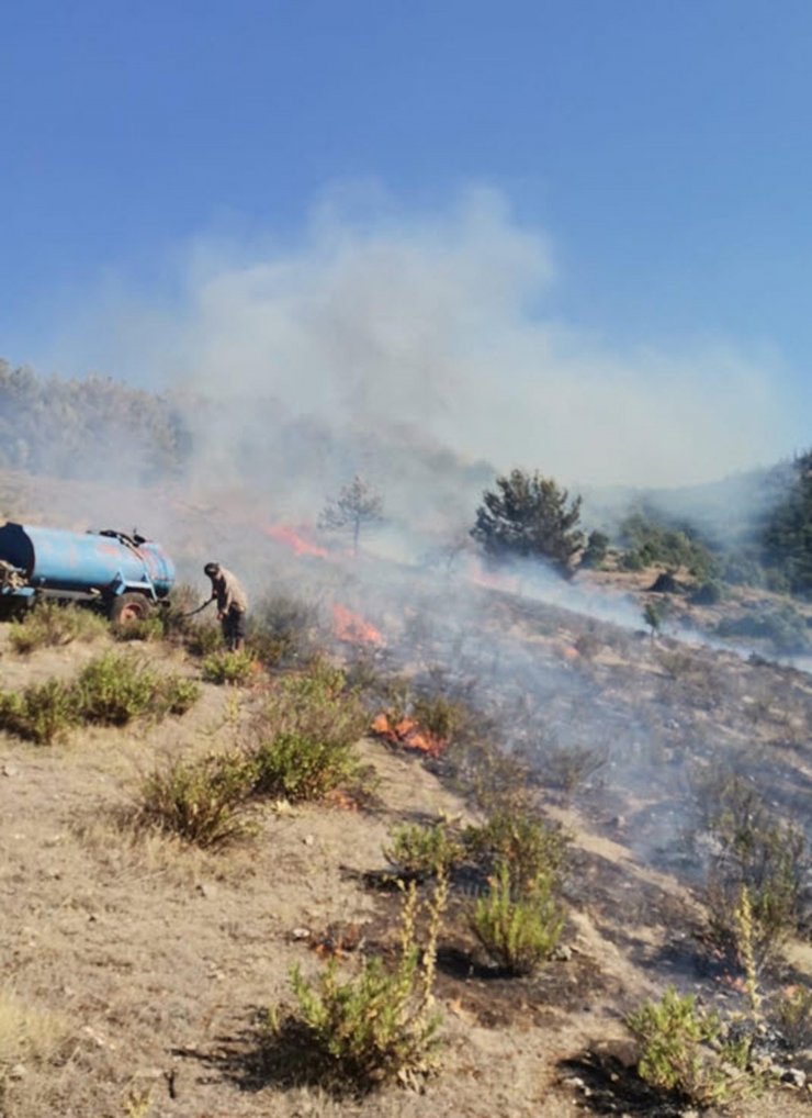 Manisa'da orman yangını