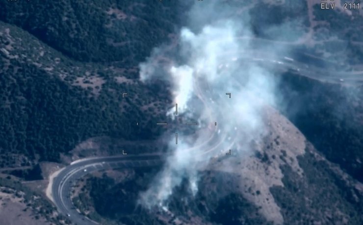 Manisa'da orman yangını