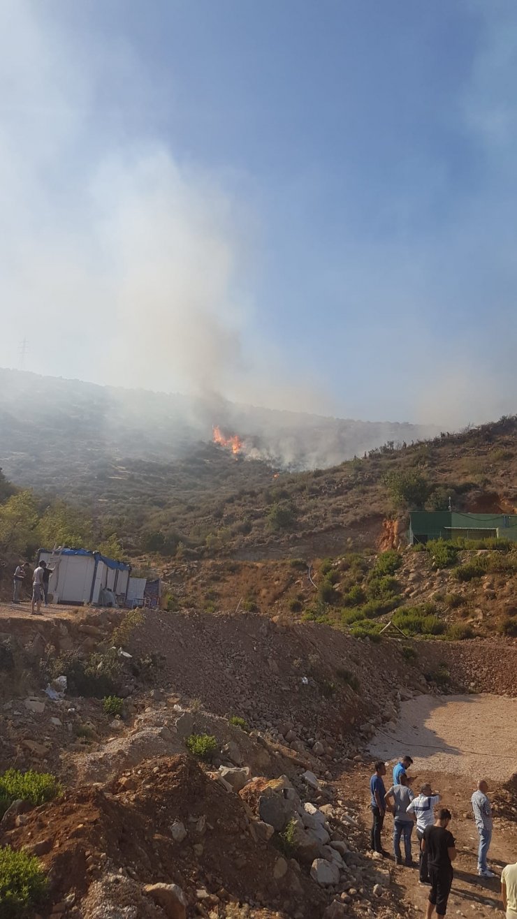 Mersin'de makilik yangını