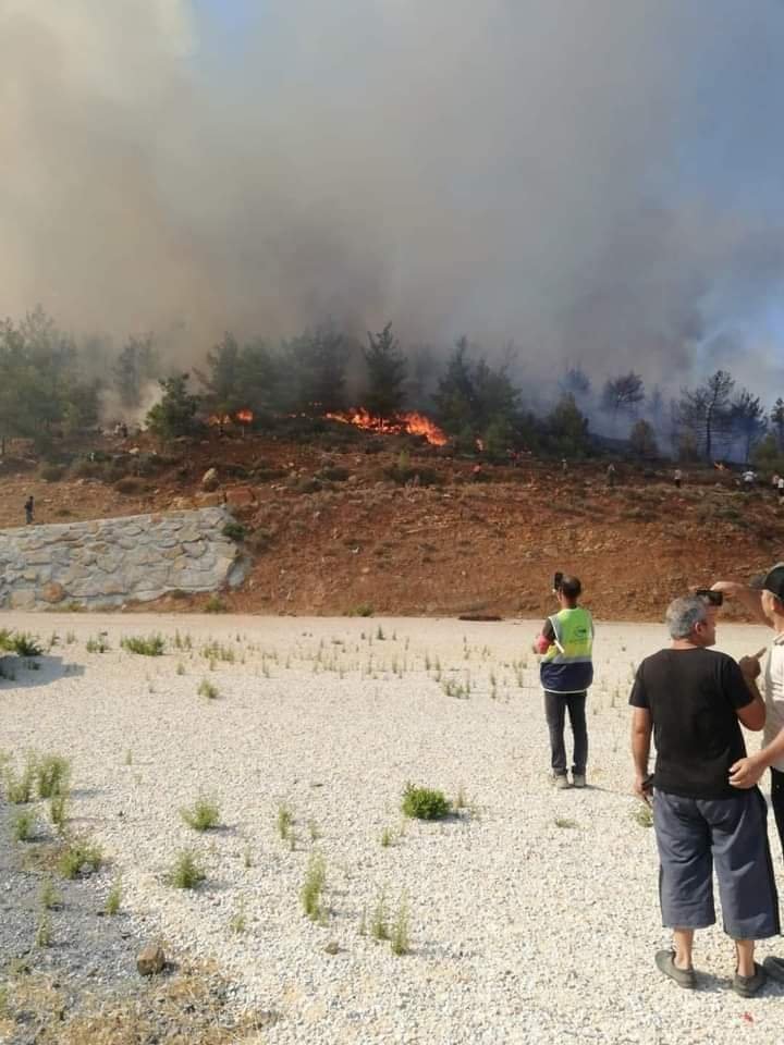 Mersin'de makilik yangını